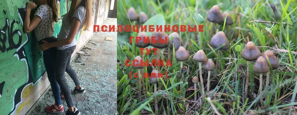 шишки Абдулино