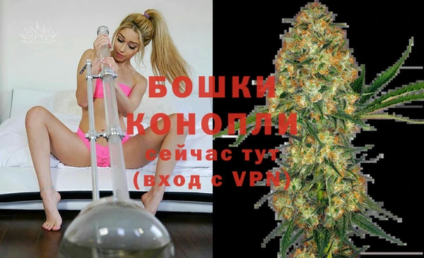 шишки Абдулино