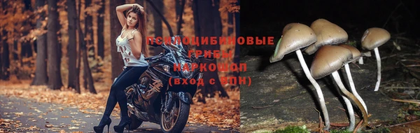 шишки Абдулино