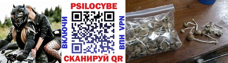 закладка  Владикавказ  Псилоцибиновые грибы Magic Shrooms 